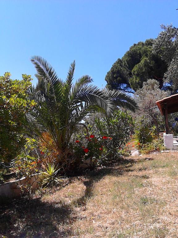 Anemos Studios Vasilias  Exterior photo